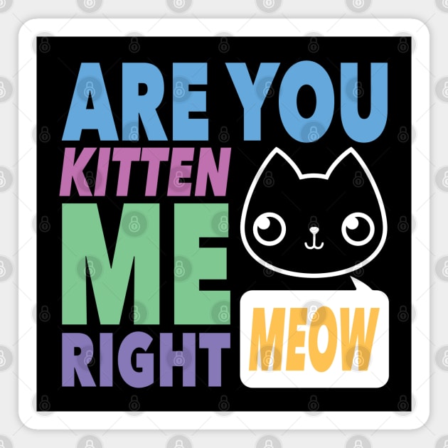 Are You Kitten Me Right MEOW Magnet by MontyMolly